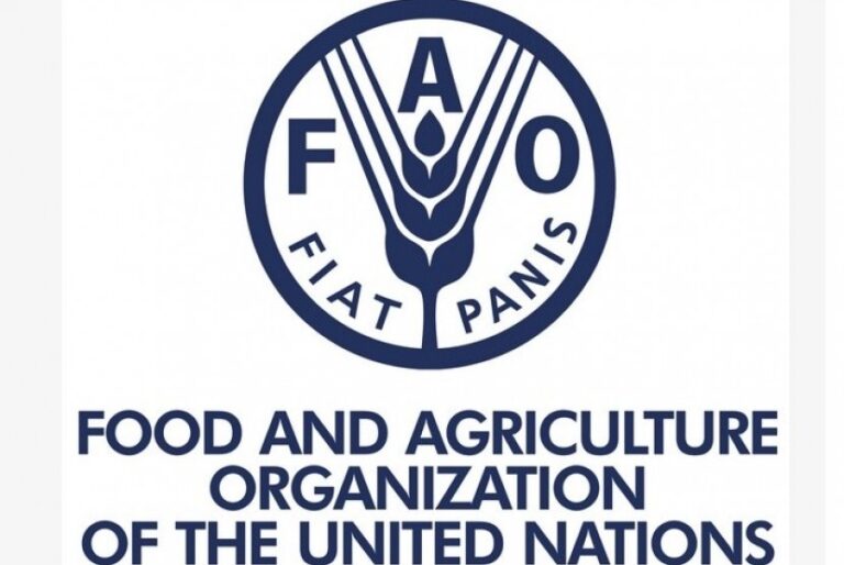 Indonesia Kini Terpilih Jadi Anggota Dewan FAO Periode 2021-2024