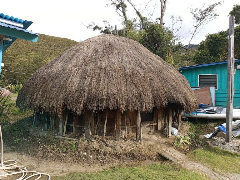 Honai, Rumah Adat Khas Suku Papua Pegunungan