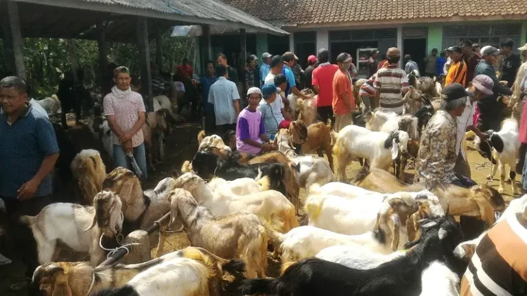 Meneguhkan Nilai-Nilai Kemanusiaan Lewat Kurban di Idul Adha