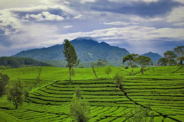 Sintang Puncaki Daftar Wilayah dengan Udara Terbersih di Indonesia
