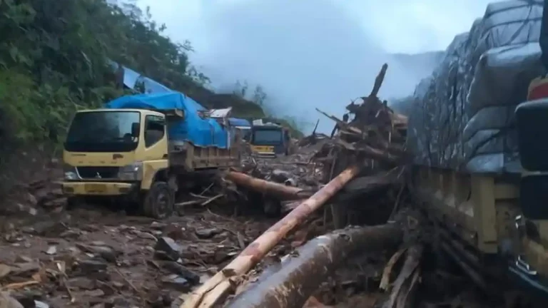 Trans Papua Jayapura-Wamena Lumpuh Total Akibat Longsor, Puluhan Kendaraan Terjebak