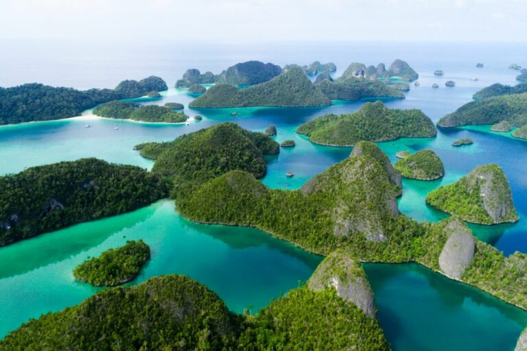 Darurat Navigasi: Melindungi 75 Persen Biodiversitas Karang Dunia di Raja Ampat