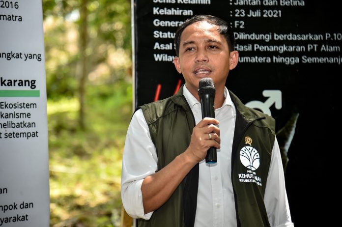 menteri-kehutanan-perdagangan-karbon-sektor-kehutanan-segera-diresmikan-13032025-180855