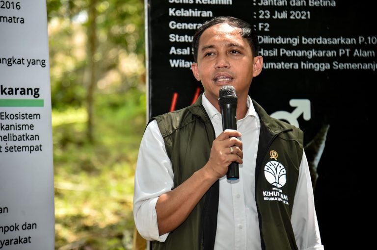 Negara Terbatas Secara Anggaran, Pemerintah Ajak Publik Bersinergi Kawal Pemulihan Kawasan Konservasi