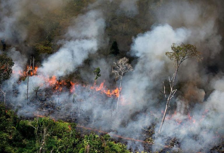 Darurat Karhutla Indonesia: 1,3 Juta Hektare Hangus, Wilayah Kalimantan dan Timur Indonesia Makin Kritis dan Tak Tertangani
